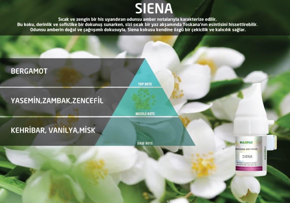 Rulopak Cosmic M5 Siena Koku Kartuşu